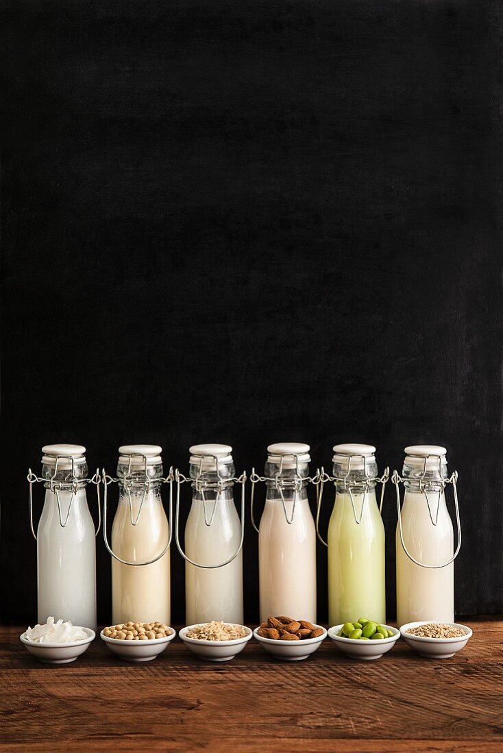 Verschiedene Milchersatzsorten in Flaschen und Zutaten: Kokosmilch, Sojadrink, Reisdrink, Mandeldrink, Edamame-Milch, Haferdrink