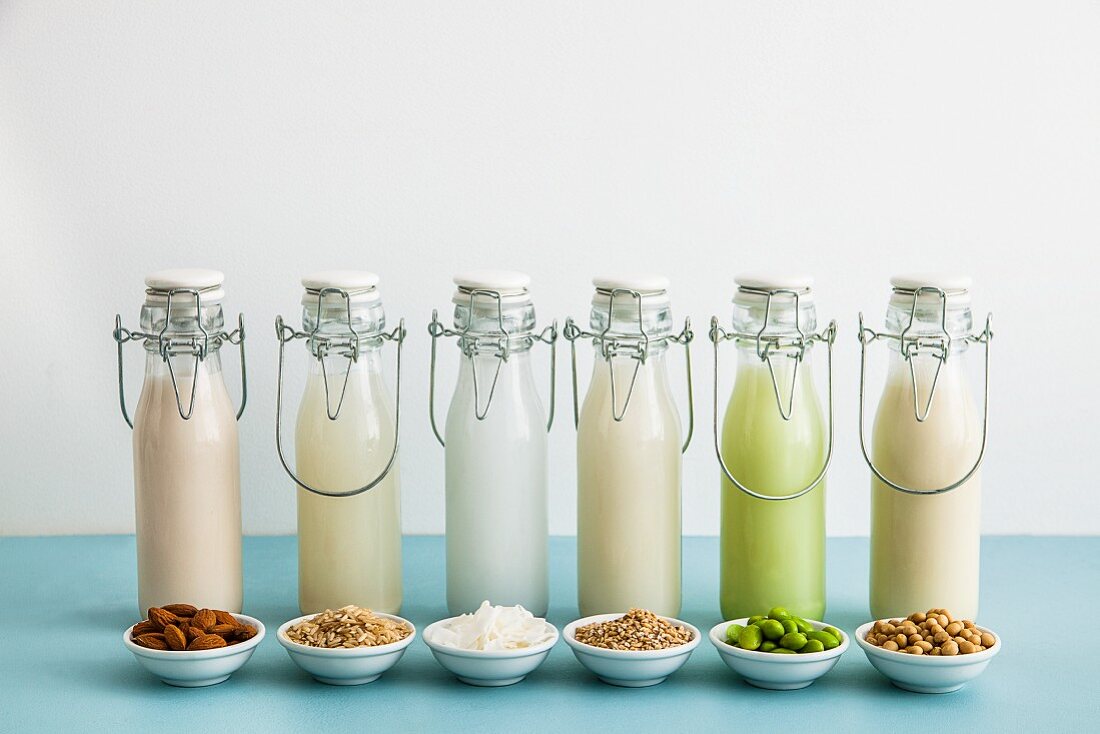 Various types of milk substitutes in bottles with their ingredients: almond milk, rice milk, coconut milk, oat milk, Edamame milk, soya milk