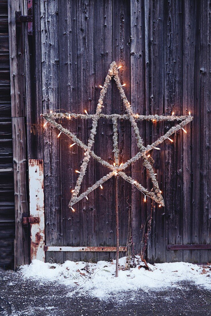 Star made from branches and Icelandic moss strung with fairy lights