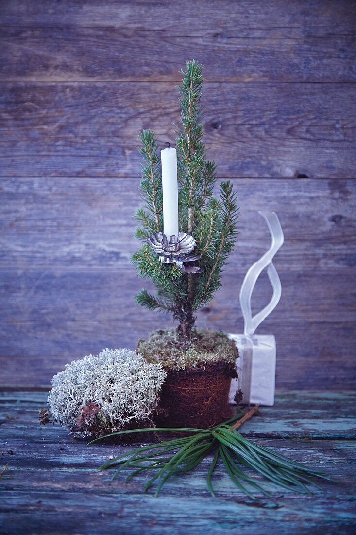 A mini Christmas tree in a pot decorated with a candle and Icelandic moss