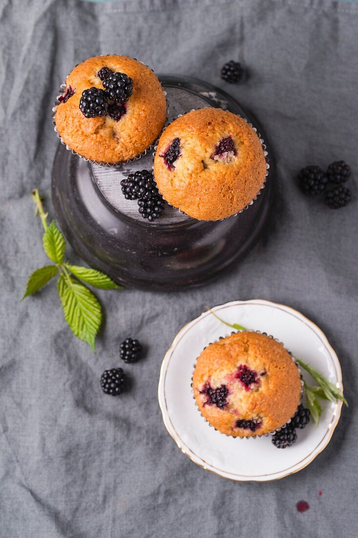 Muffins mit Brombeeren