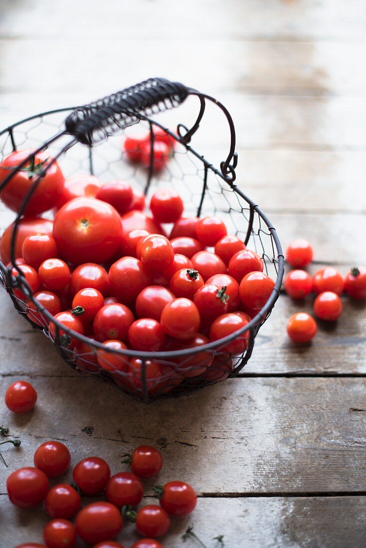 Tomaten in einem Drahtkorb