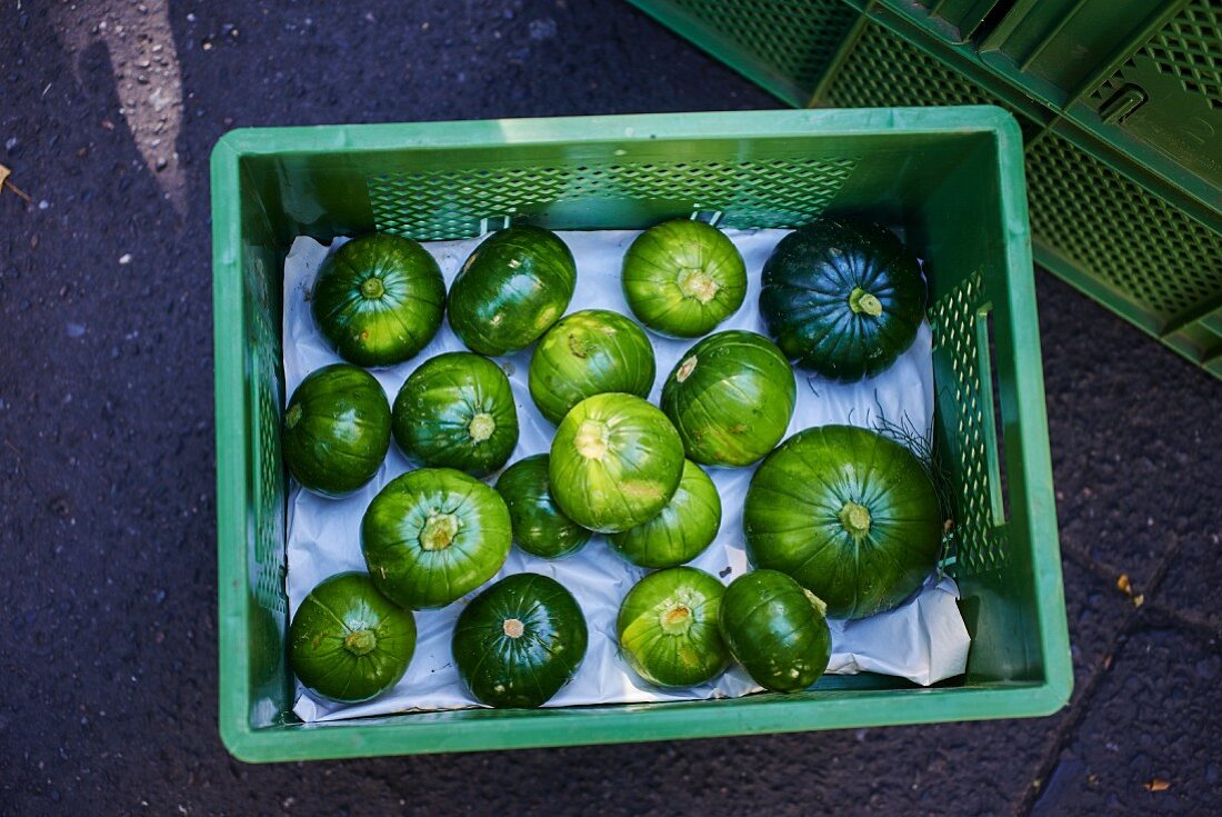 Round courgettes in a crate