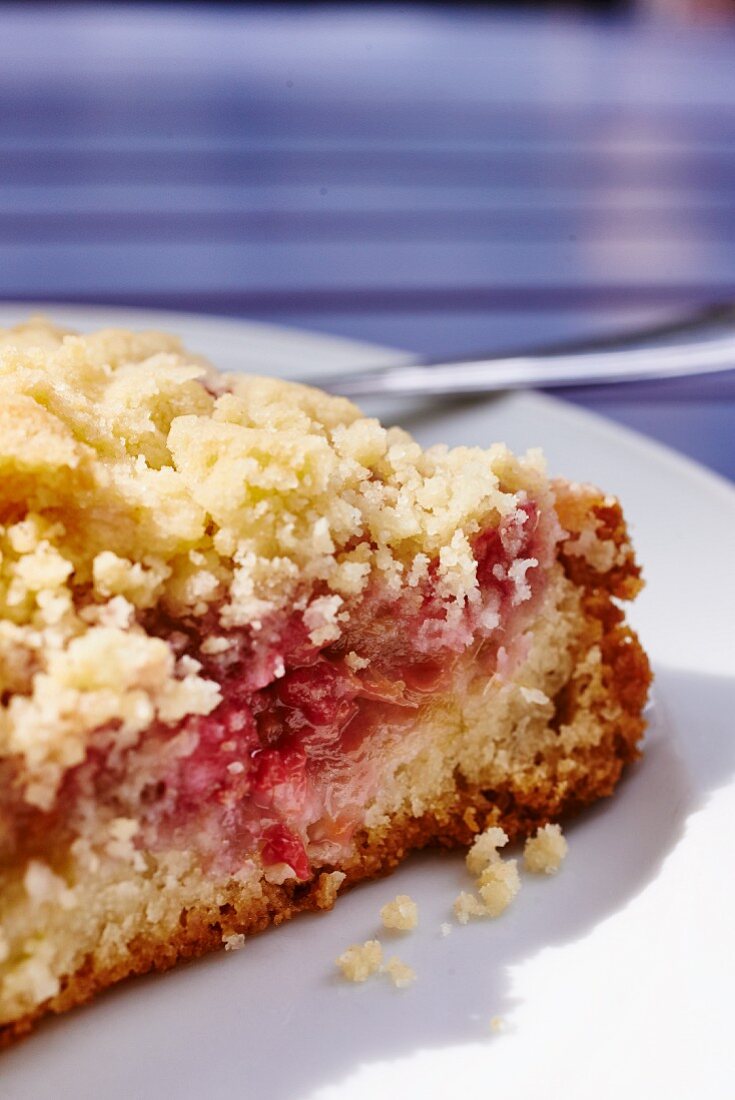 Raspberry and rhubarb crumble cake