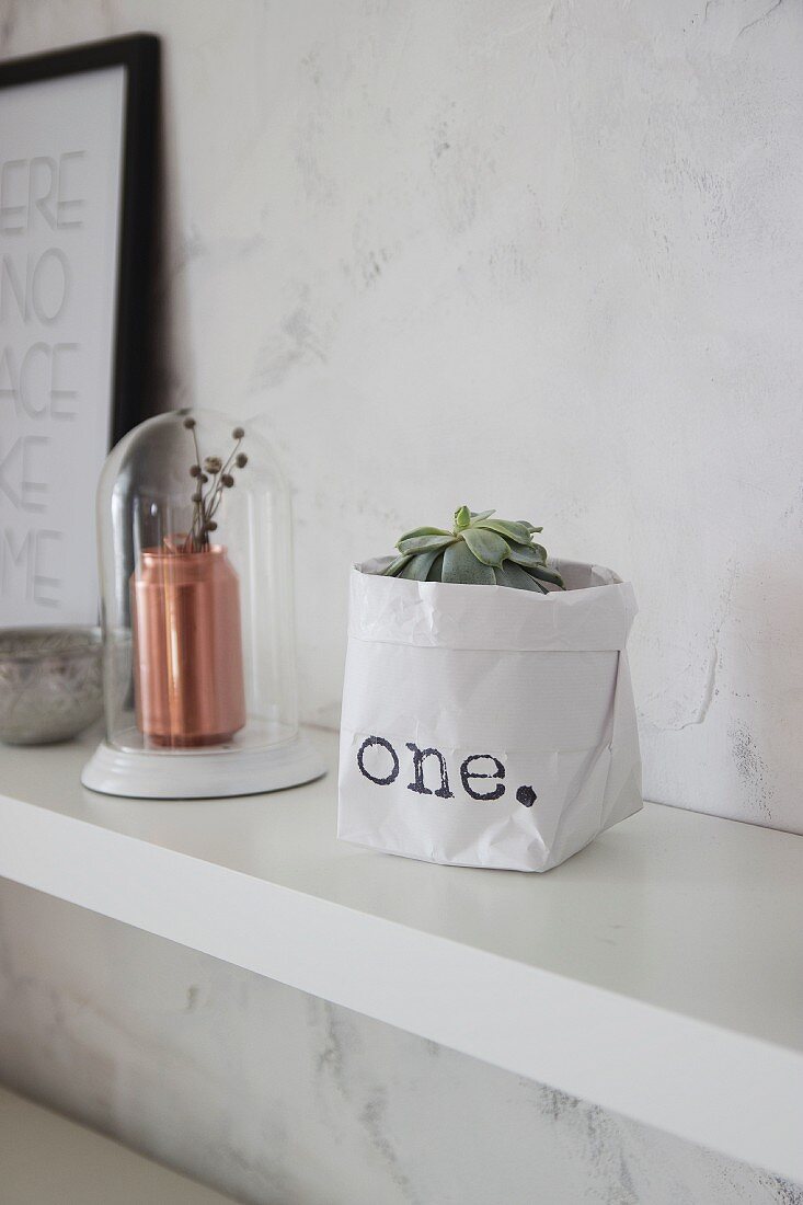 Succulent in hand-made printed paper bag next to copper vase below glass cover