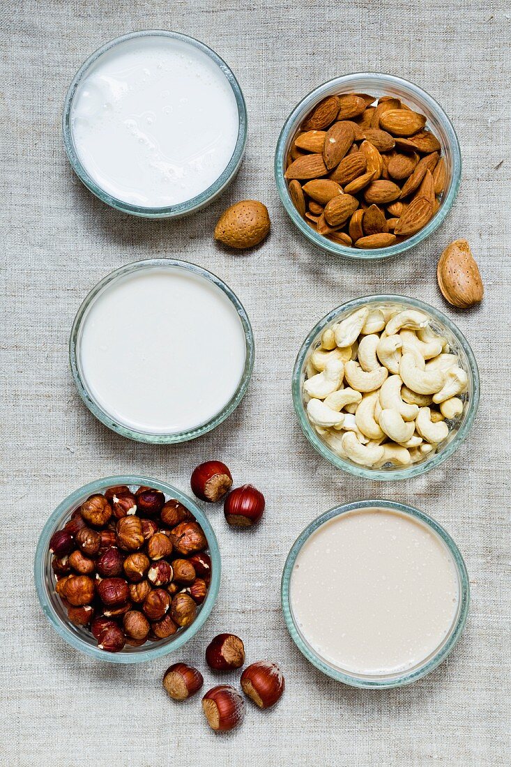 Hazelnut milk, almond milk and cashew milk