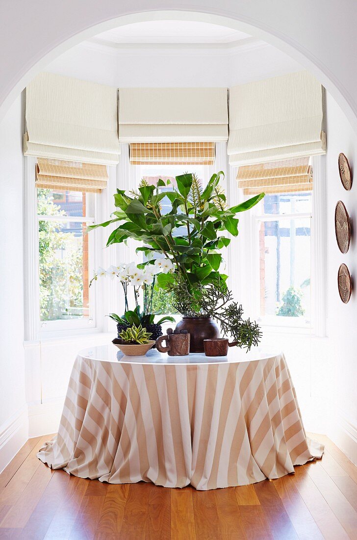 Houseplants on a table with a striped tablecloth in the bay window