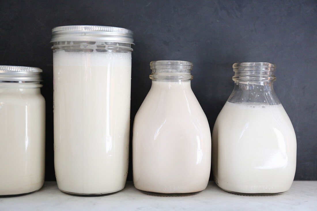 Various types of feed in milk: organic short-grain rice milk, oatmeal, long-grain rice milk and cashew nut milk