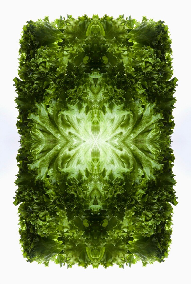 A digital composition of mirrored images of mixed lettuce leaves
