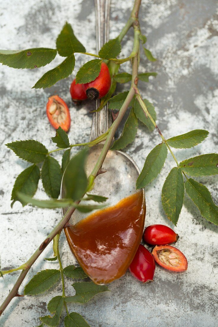 Homemade rose hip jelly on a vintage spoon with fresh rose hips on a sprig