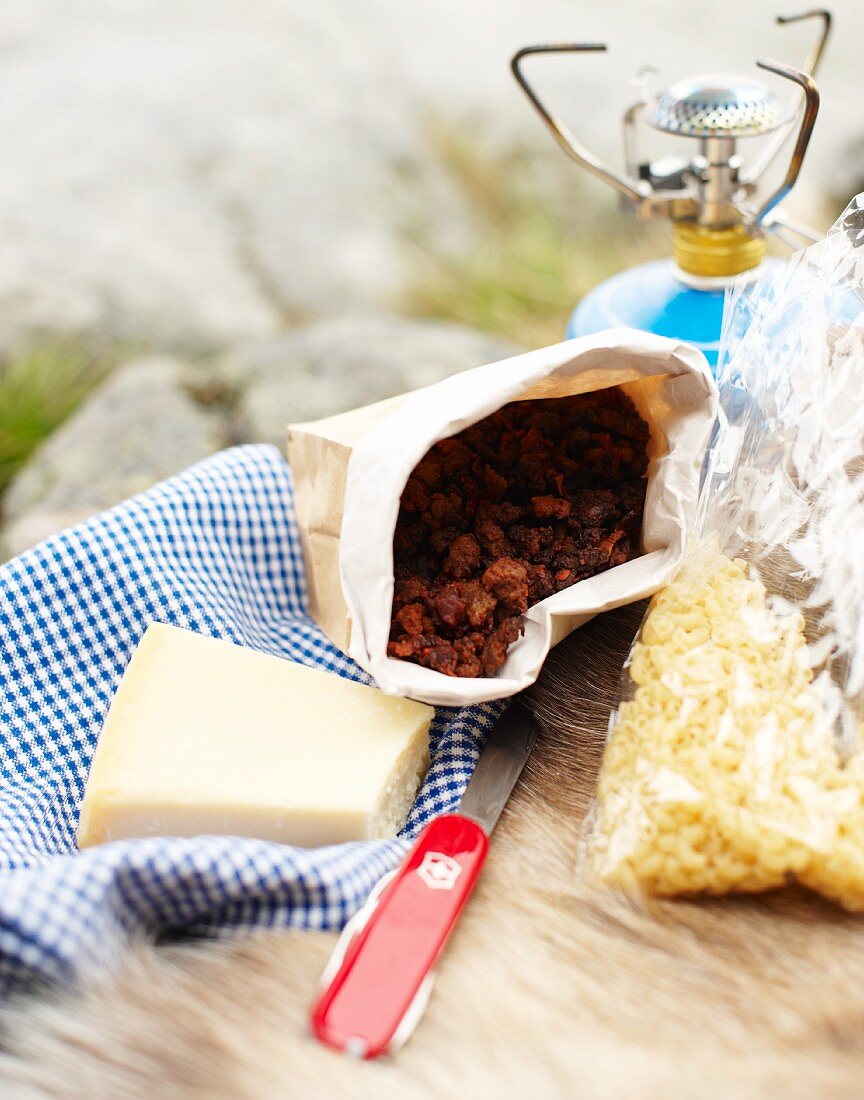 Ingredients for camping food: cheese and bolognese sauce