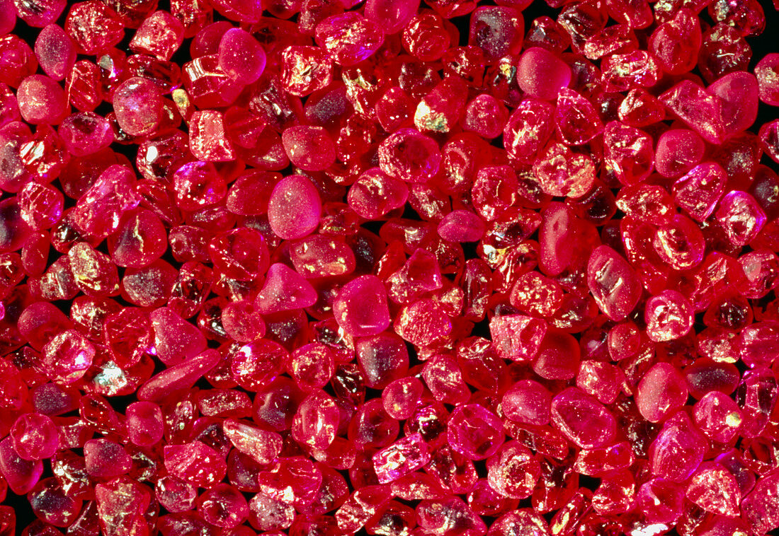 Rubies panned from river gravels