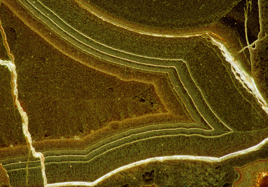 Macrophoto of polished Haematite (iron oxide)