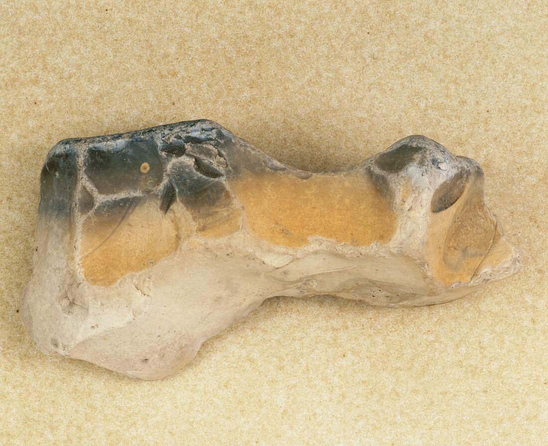stone-age flint hatchet from Wetzlar,Germany