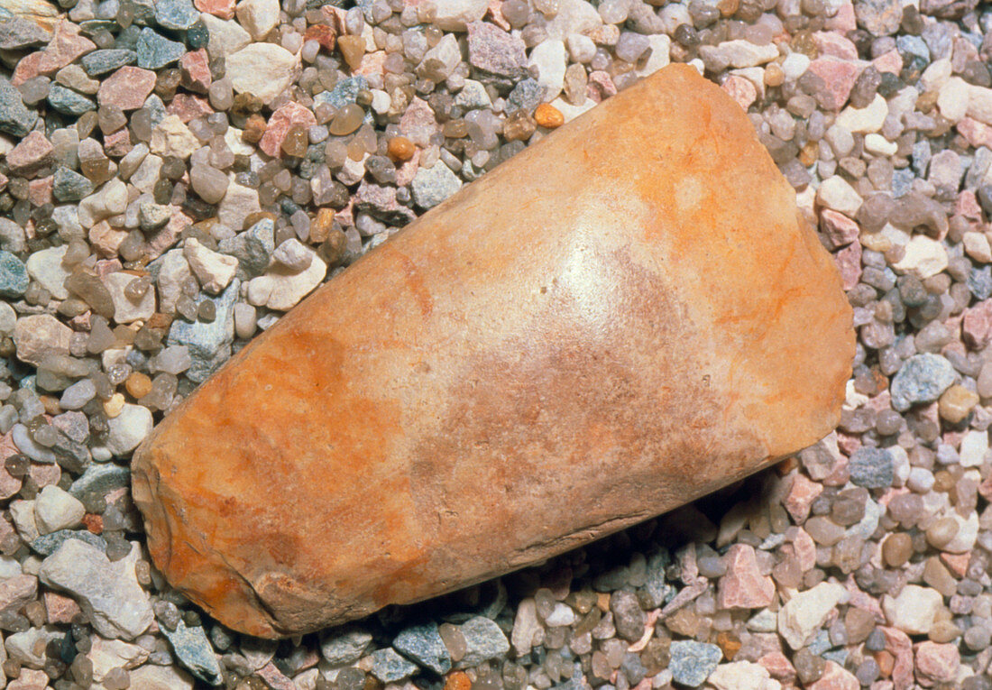 Neolithic stone axe head