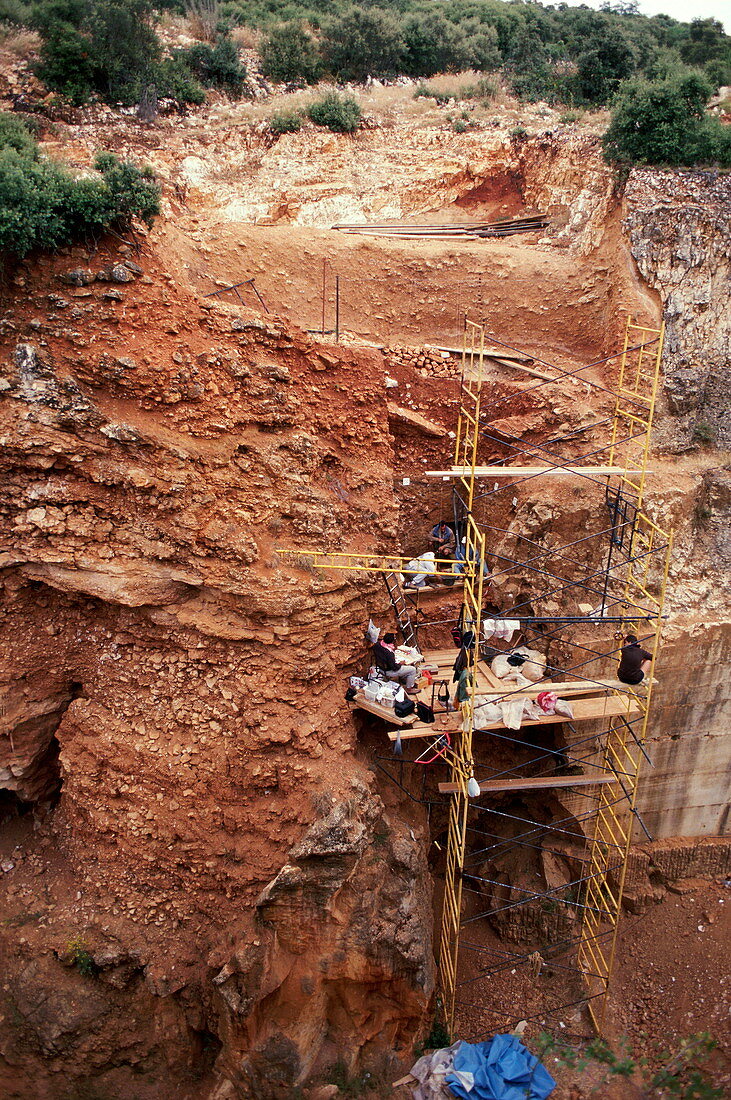 Excavations at Gran Dolina