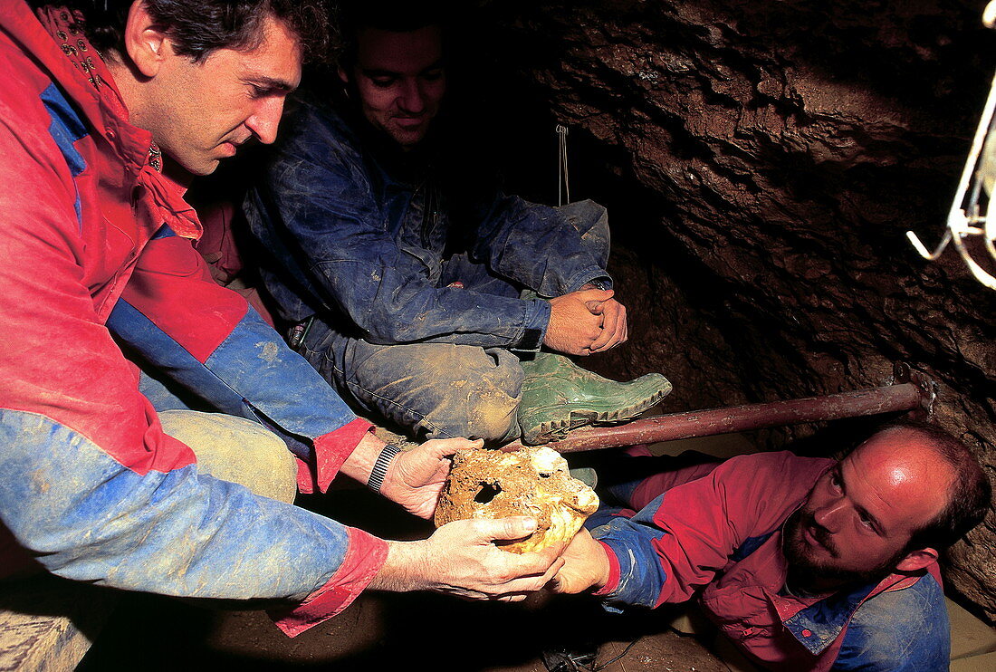 Excavations at Sima de los Huesos