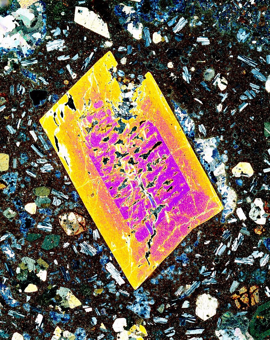 Pyroxene crystal,thin section