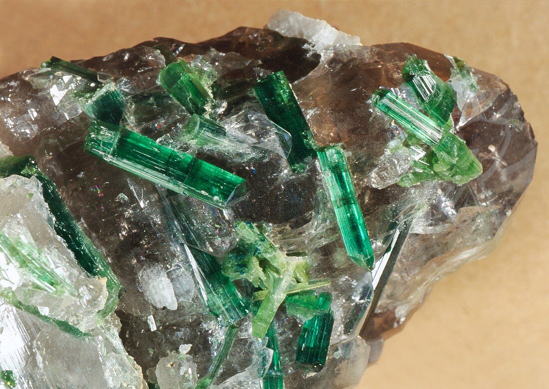 Tourmaline crystals in quartz