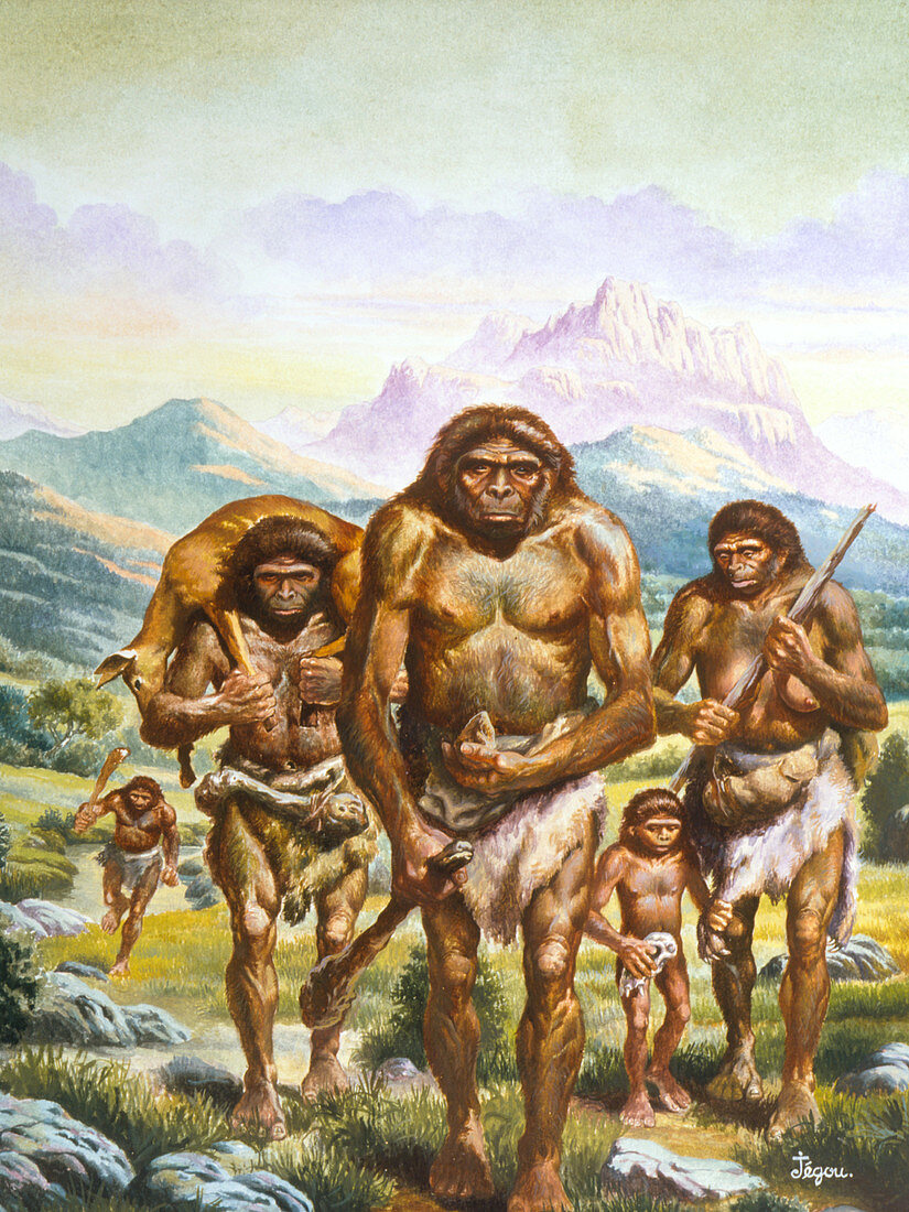 Homo erectus returning from hunt