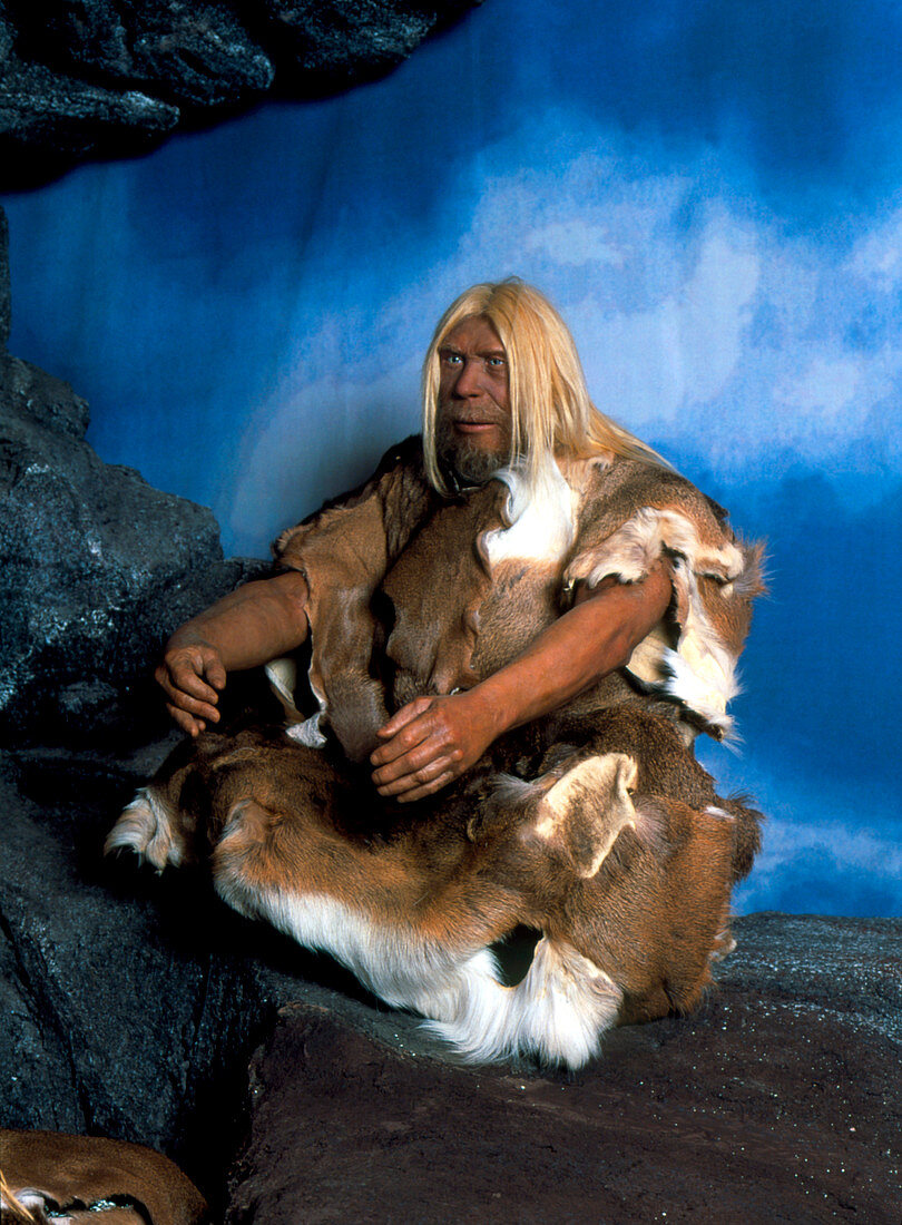 Model of a neanderthal man