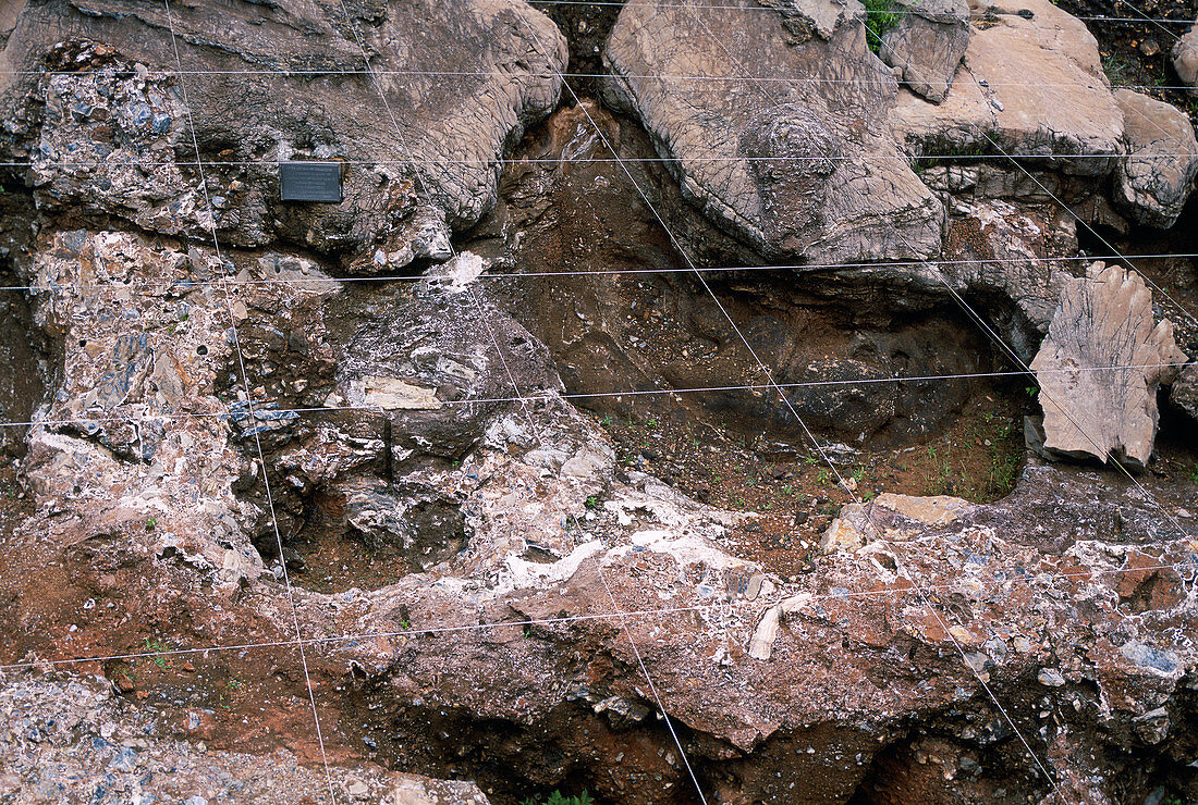 Sterkfontein cave excavation