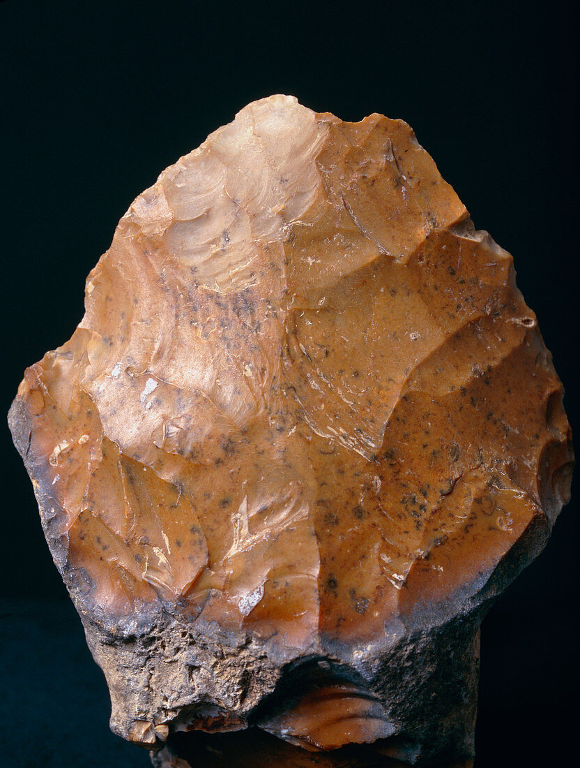 Palaeolithic hand axe