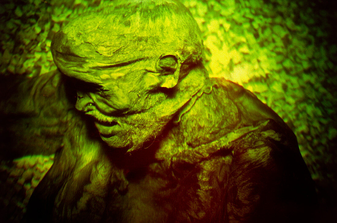 Hologram of the mummified body of Lindow Man