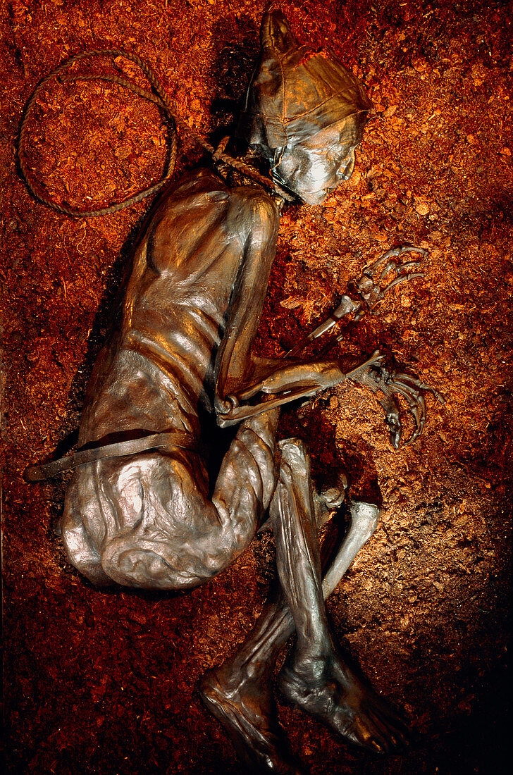 The mummified well-preserved body of Tollund Man