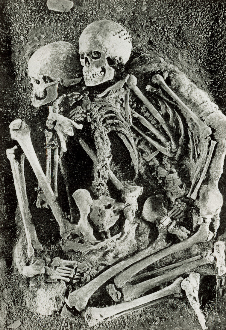 Grimaldi skeletons