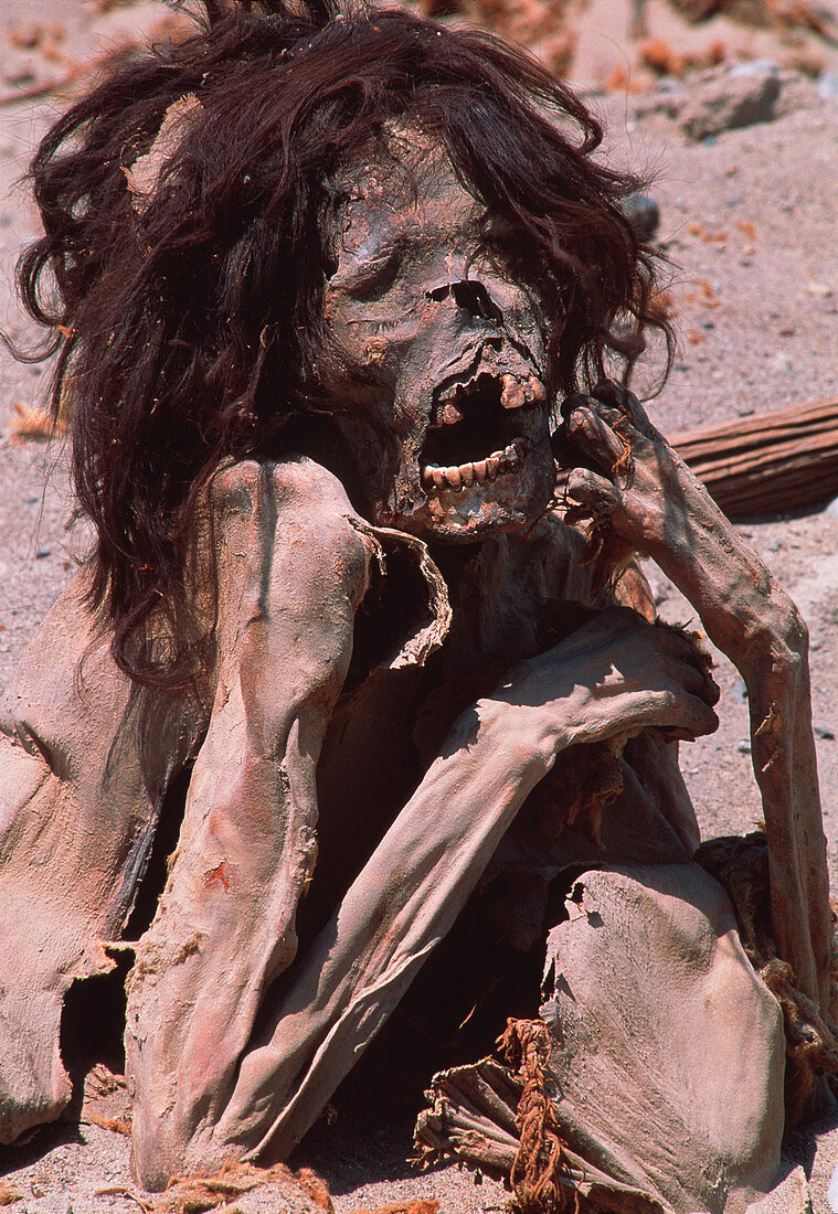 Peruvian mummy