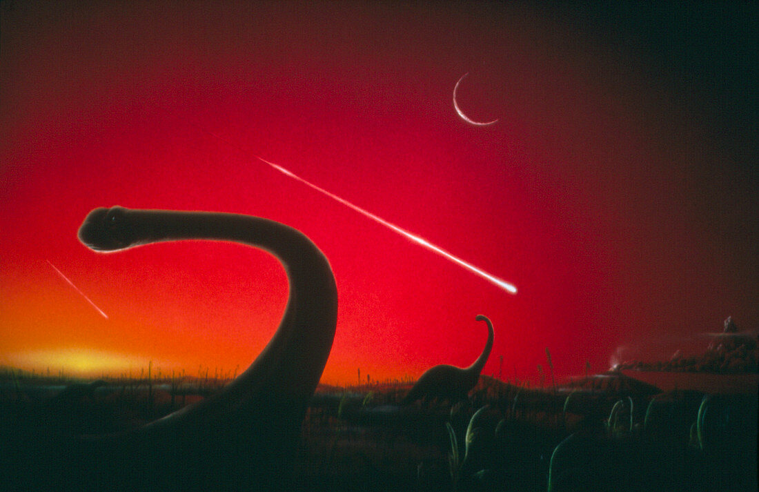 Artwork of dinosaurs with meteors falling