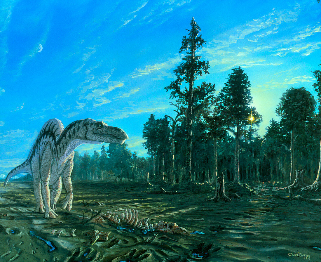 Artwork of a Maiasaura dinosaur