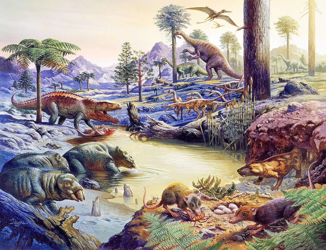 Triassic fauna