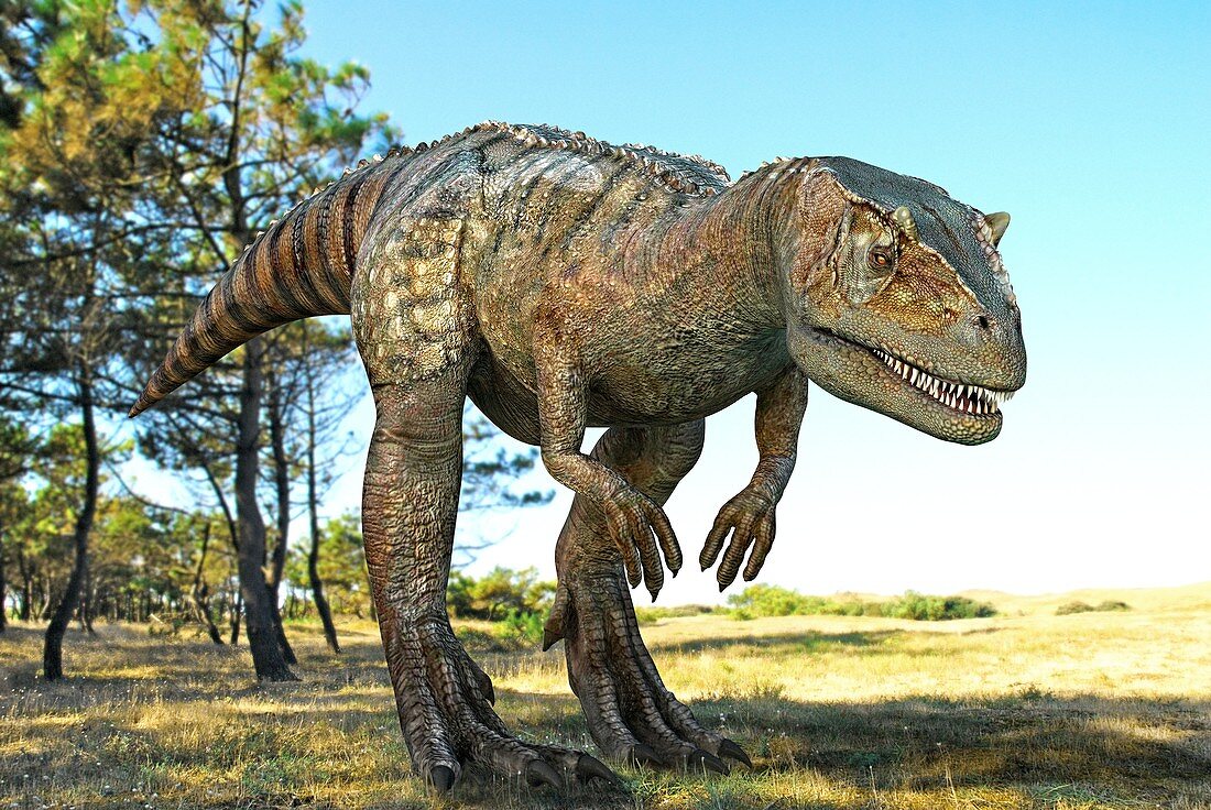 Allosaurus dinosaur,artwork