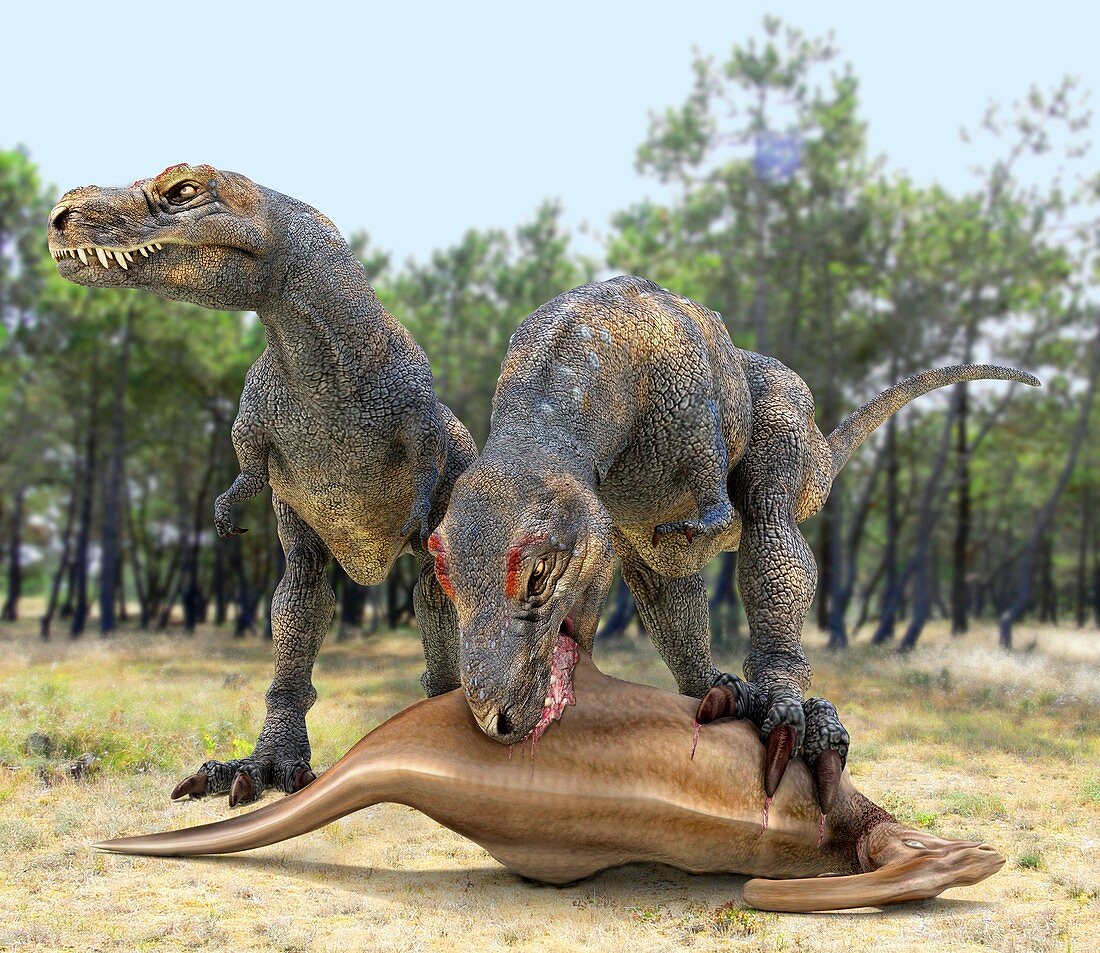 Tyrannosaurus rex dinosaurs,artwork