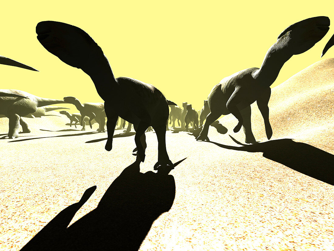 Iguanodon dinosaurs