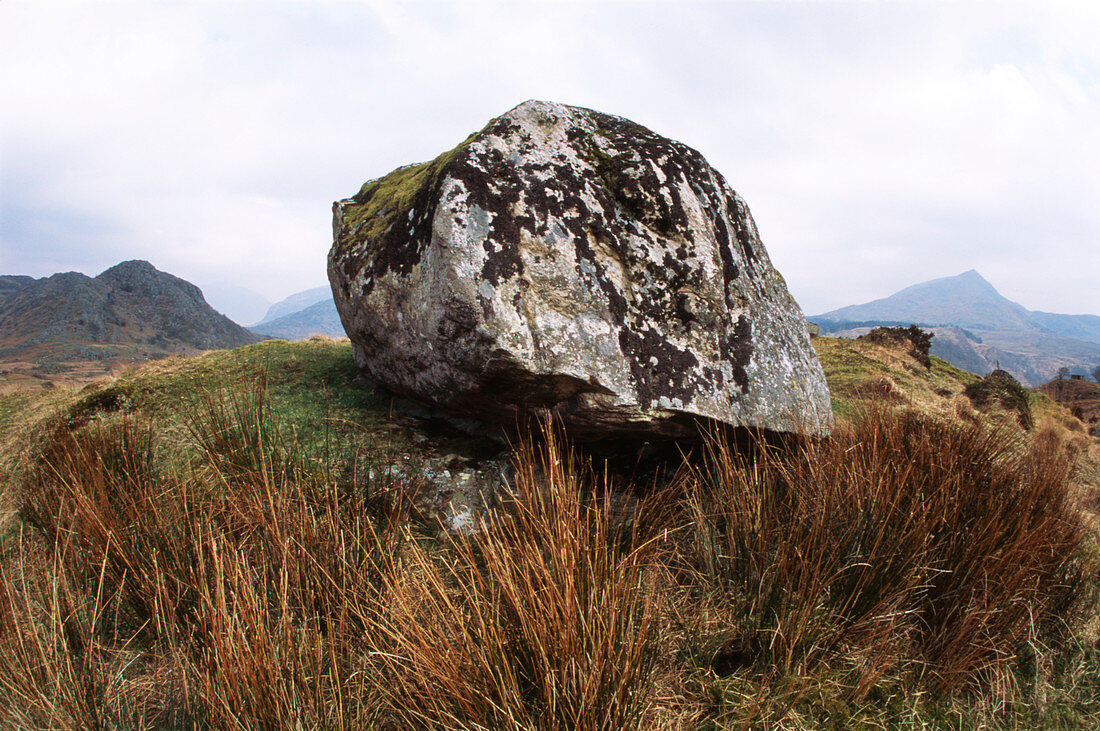 Erratic boulder