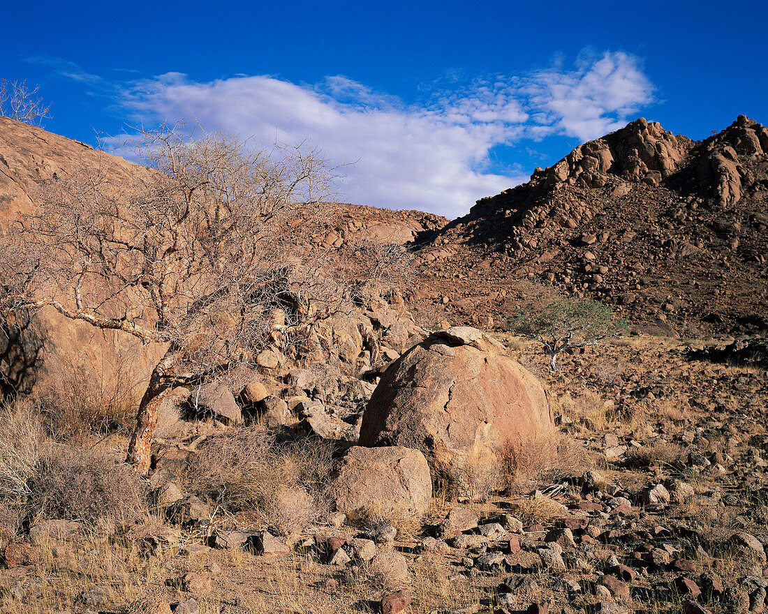 Damara granite hills