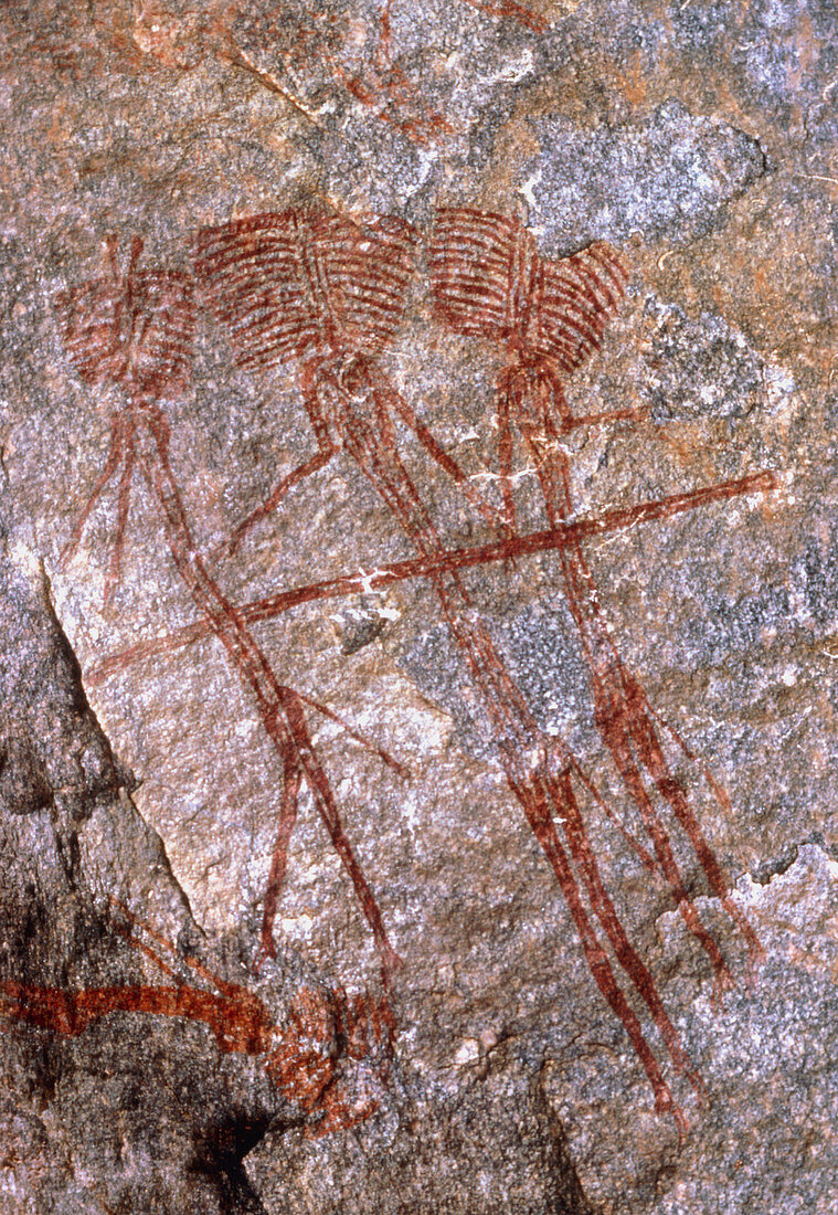 Cave painting: Kolo-type figures from Tanzania