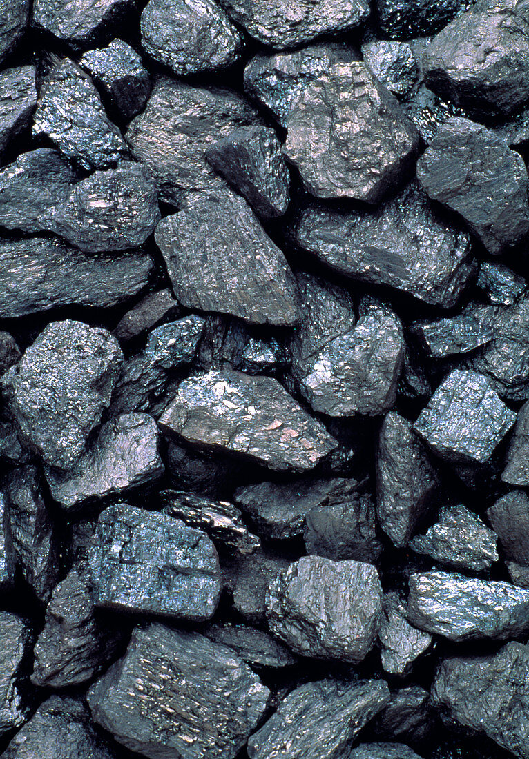 Lumps of high-grade anthracite coal