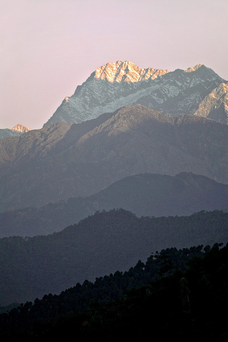 Dhaula Dar mountains