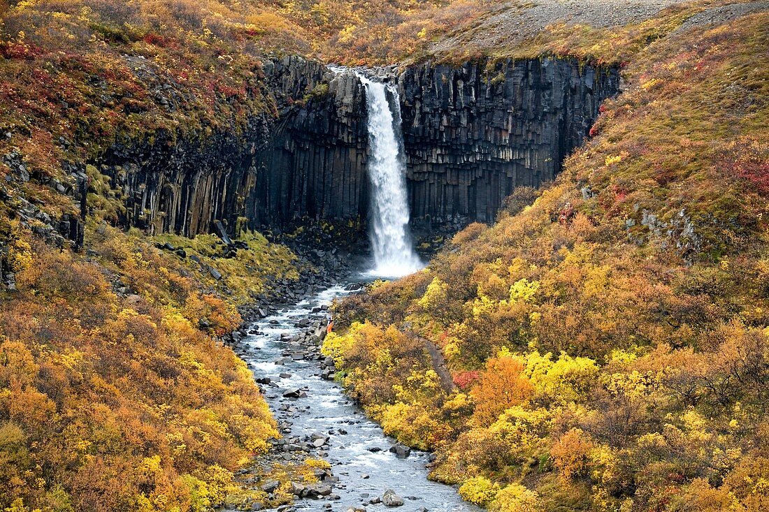 Waterfall and basalt rock,Iceland
