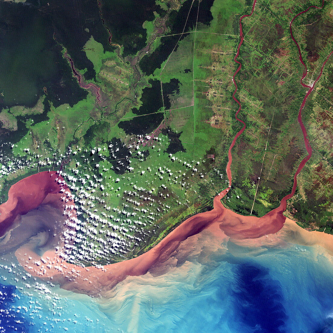 River deltas in Borneo