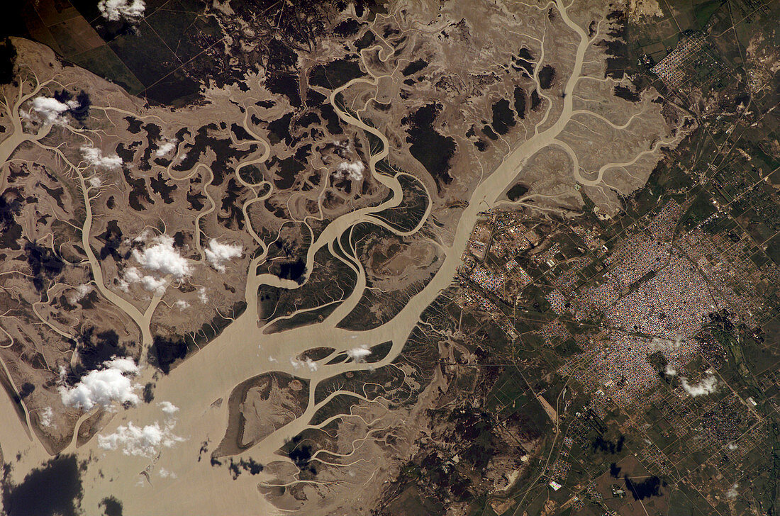 Bahia Blanca estuary,from space