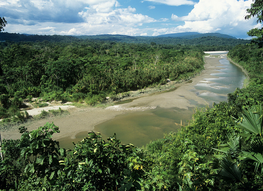 Napo River,Ecuador