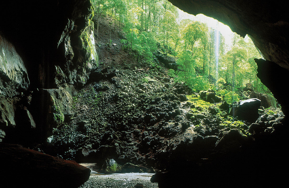 Entrance to Deer Cave