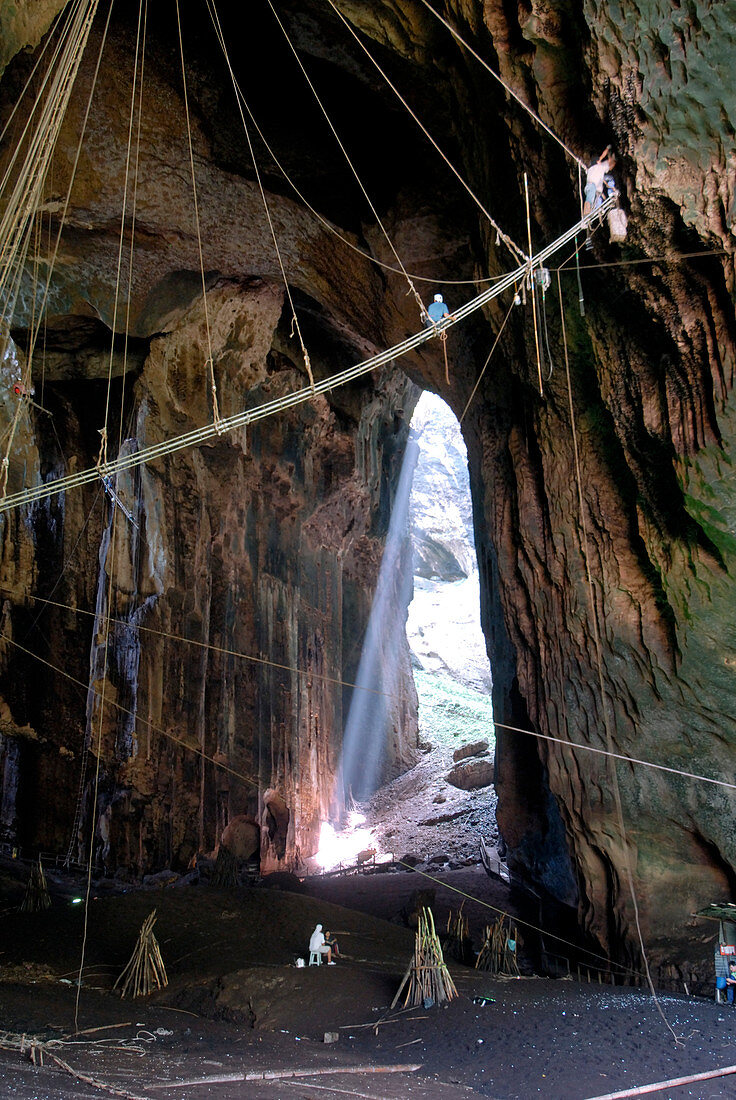 Gomantong Caves,Malaysia