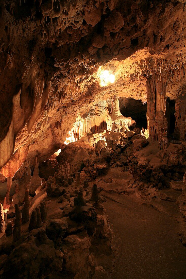Florida Caverns State Park,USA