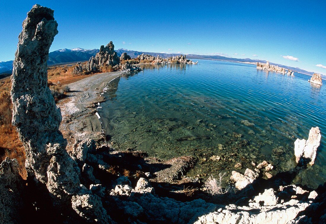 Fisheye view of tufa formations at Mono Lake,USA